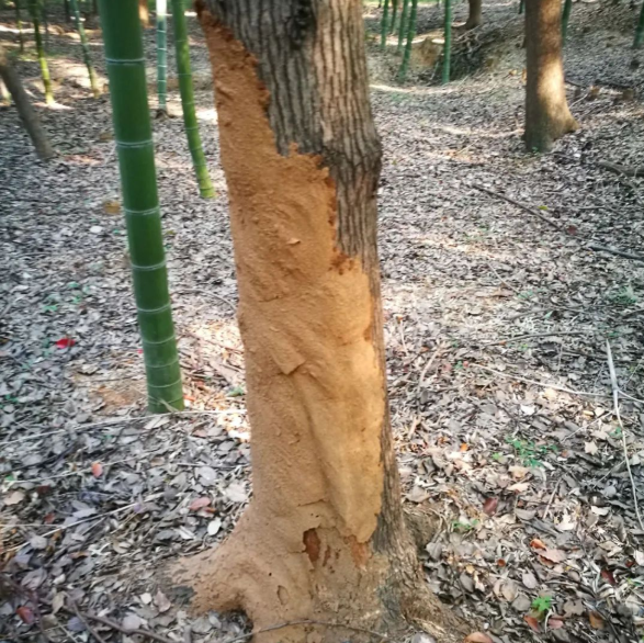QQ截图20210825153140.png