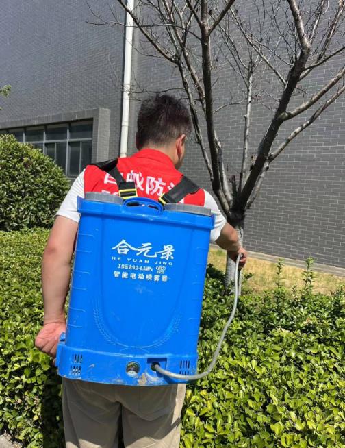 园林树木白蚁防治所